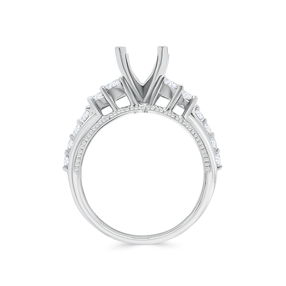 PLTM-RING-MT-3A.jpg